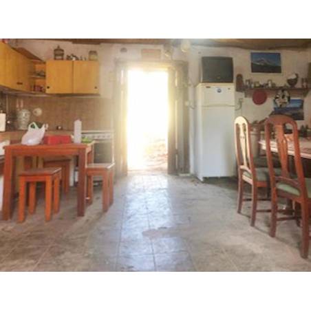 Sprzedaż - Nieruchomości - Finca kanaryjska - San Miguel de Abona 1