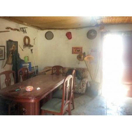 Sprzedaż - Nieruchomości - Finca kanaryjska - San Miguel de Abona 1